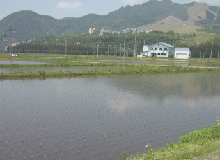 美味しいコシヒカリと自家菜園で採れる野菜たち。